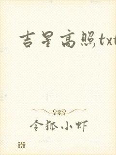 吉星高照txt