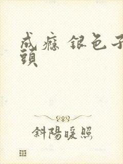 成瘾 银色子弹头