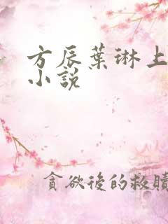 方辰叶琳上官步小说