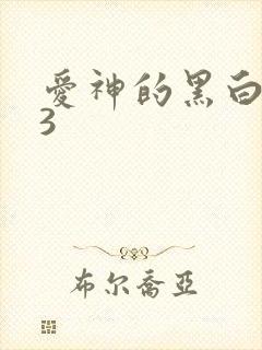 爱神的黑白羽翼3