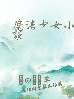 魔法少女小圆小说