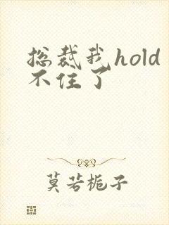 总裁我hold不住了