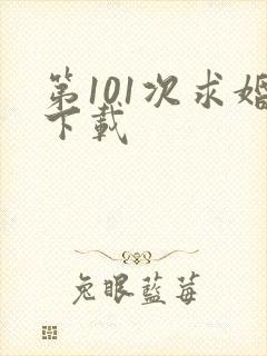 第101次求婚下载