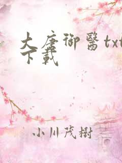 大唐御医txt下载