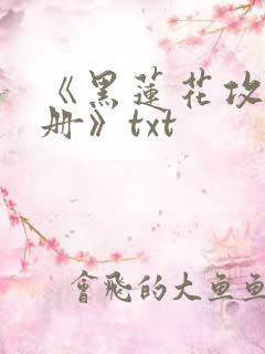 《黑莲花攻略手册》txt