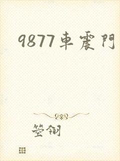 9877车震门