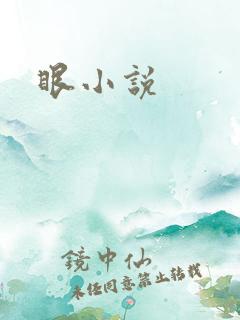 眼小说