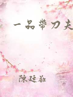 一品带刀夫人