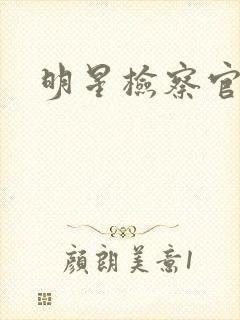 明星检察官小说