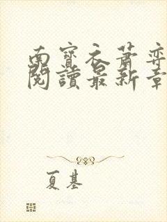 南宝衣萧弈免费阅读最新章节