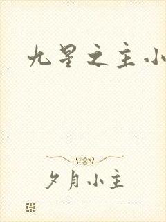九星之主小说
