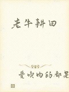 老牛耕田