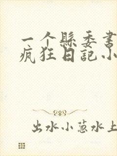 一个县委书记的疯狂日记小说