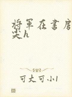 将军在书房含乳尖h