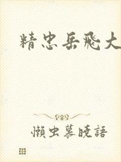 精忠岳飞大结局