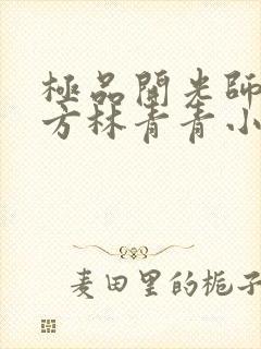 极品开光师李南方林青青小说免费阅读