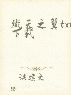 炽天之翼txt下载