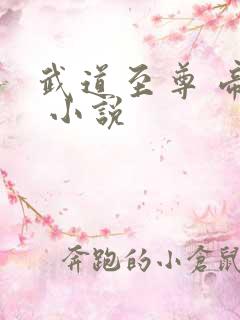 武道至尊 帝临 小说