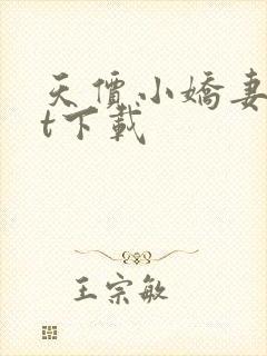 天价小娇妻txt下载