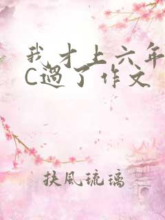 我才上六年级就C过了作文