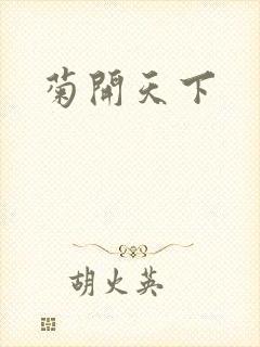 菊开天下