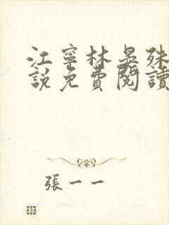 江宁林晏殊的小说免费阅读