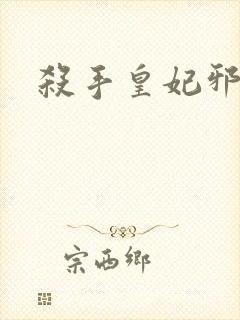 杀手皇妃邪魅帝