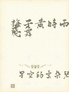 梅子黄时雨流光飞舞