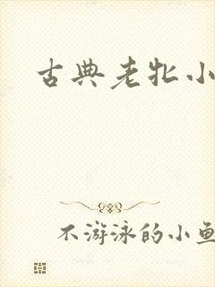 古典老牝小说