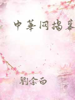 中华网揭幕内参