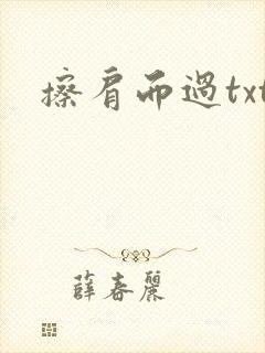擦肩而过txt