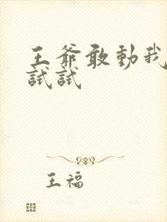 王爷敢动我妈咪试试