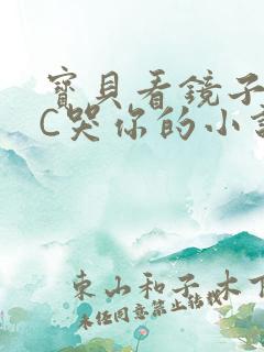 宝贝看镜子怎么C哭你的小说