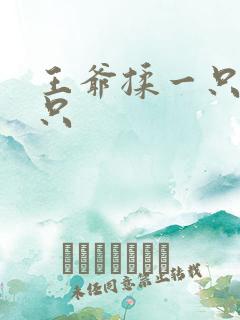 王爷揉一只舔一只