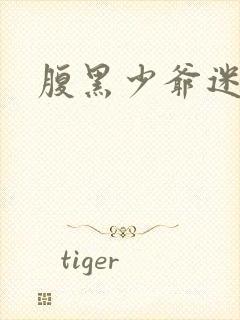 腹黑少爷迷糊妻