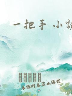 一把手 小说