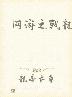 网游之战龙无双