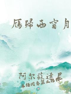 雁归西窗月小说