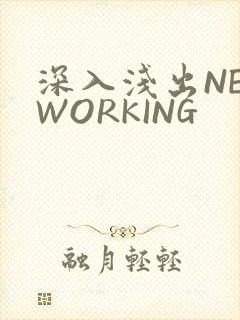 深入浅出NETWORKING