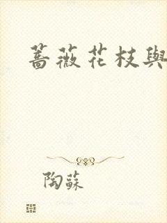 蔷薇花枝与灰烬