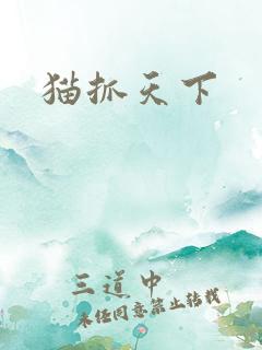 猫抓天下