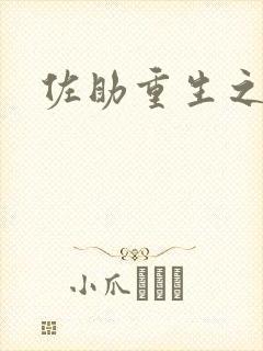 佐助重生之死神