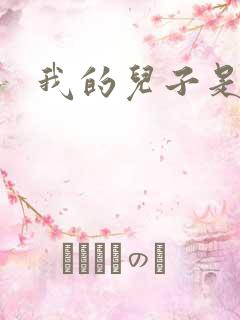 我的儿子是雍正