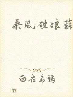 乘风破浪薛家良