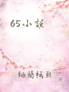 65小说