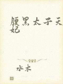 腹黑太子天降萌妃