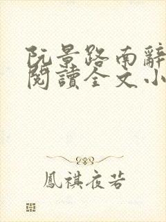 阮景路南辞免费阅读全文小说