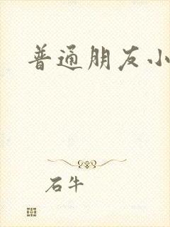 普通朋友小说