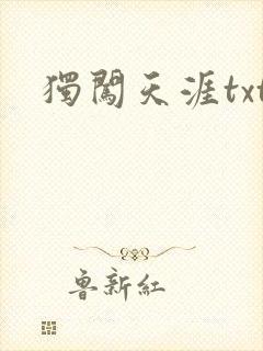 独闯天涯txt