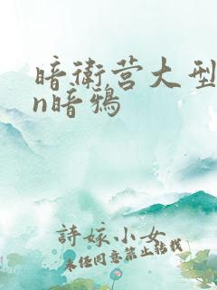 暗卫营大型hpn暗鸦